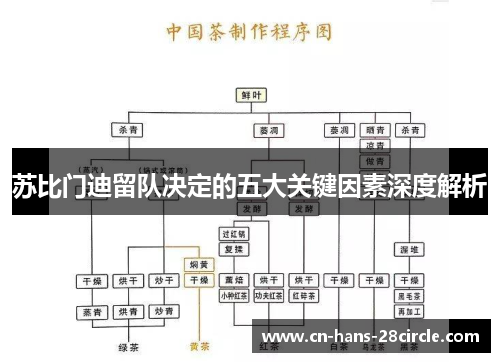 苏比门迪留队决定的五大关键因素深度解析