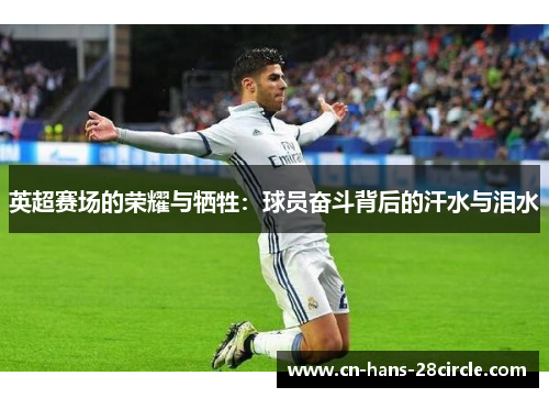 英超赛场的荣耀与牺牲：球员奋斗背后的汗水与泪水