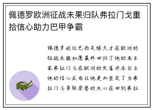 佩德罗欧洲征战未果归队弗拉门戈重拾信心助力巴甲争霸